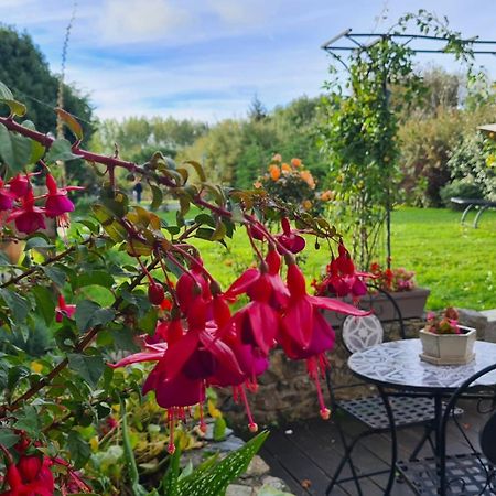 Bed and Breakfast Lesroses1680 Blainville-sur-Mer Exterior foto
